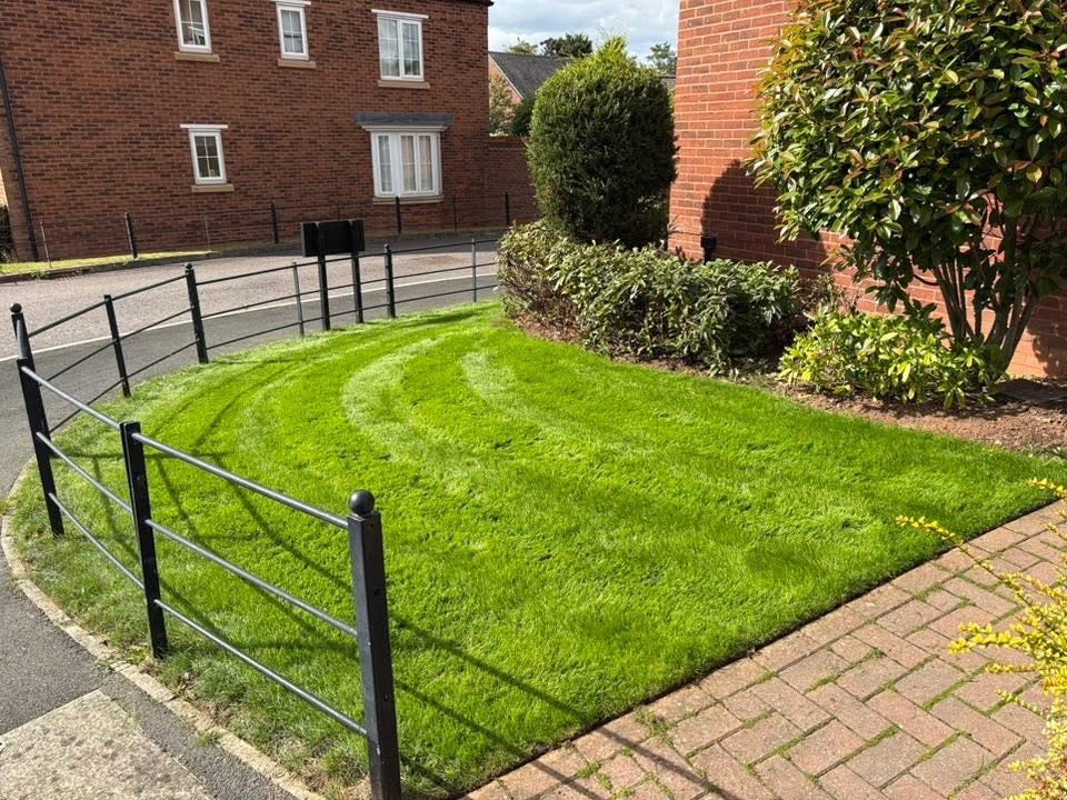 Spring Revive Lawn Fertiliser 10-4-4 ( Coming Soon ) - Image 4