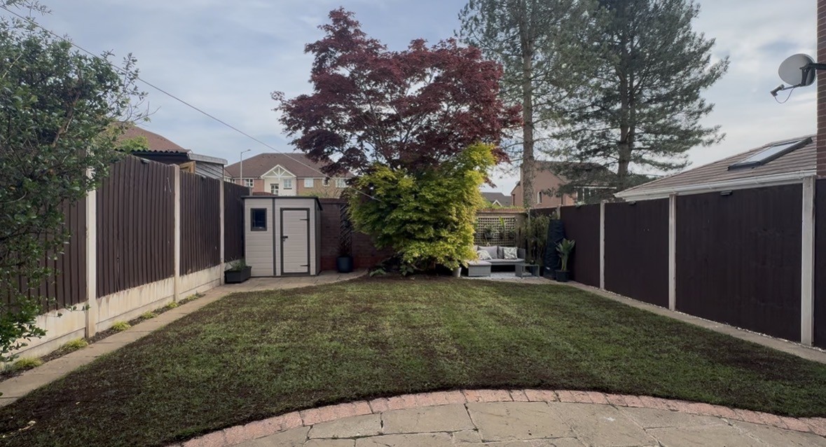 Week 1 after lawn renovation and overseeding with Turfology Dark Green Lawn Seed
