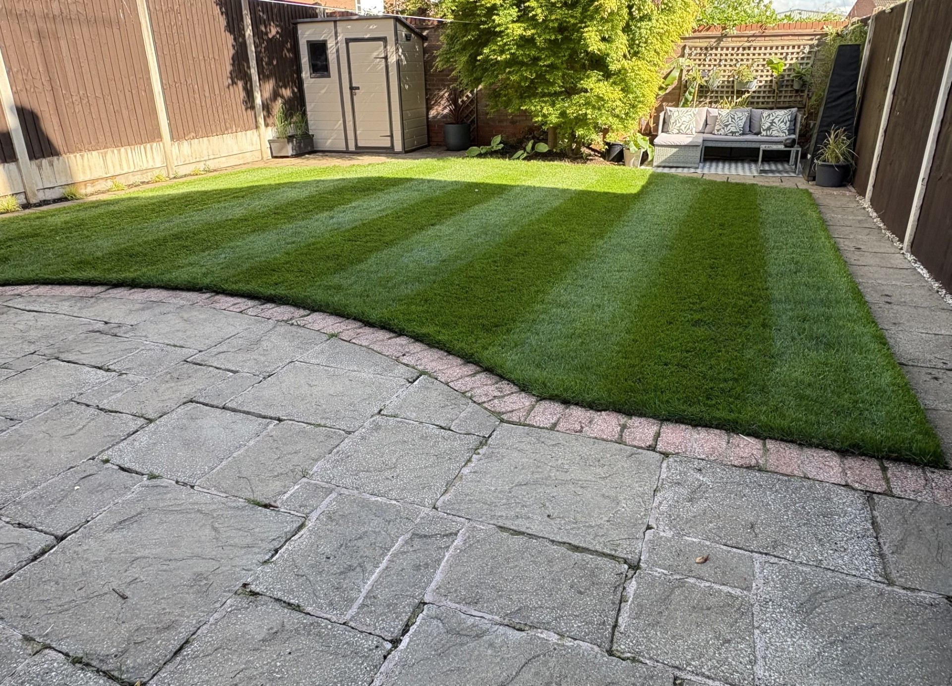 Summer Strength Lawn Fertiliser 8-0-4 ( Coming Soon ) - Image 2